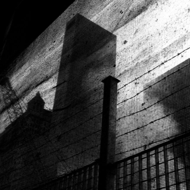 les-lecons-americaines02