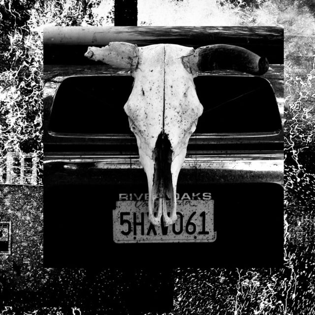 les-lecons-americaines04