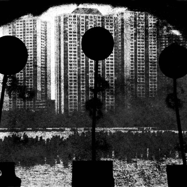 les-lecons-americaines15