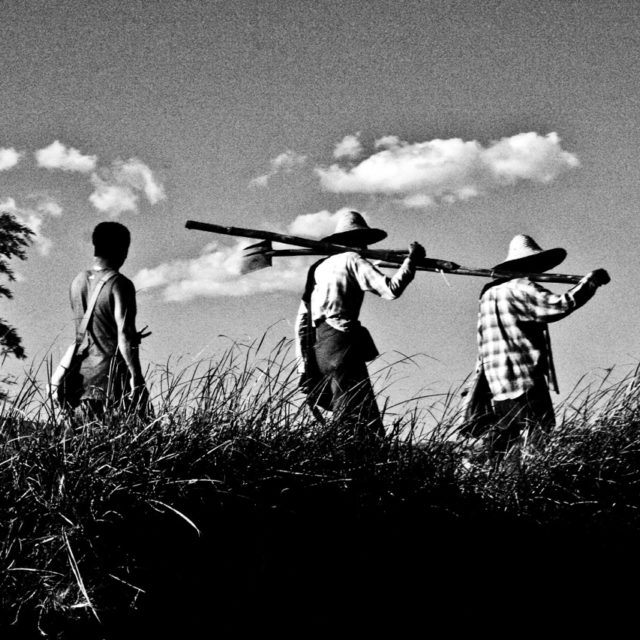 sur-les-bords-du-lac-inle03