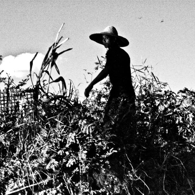 sur-les-bords-du-lac-inle04