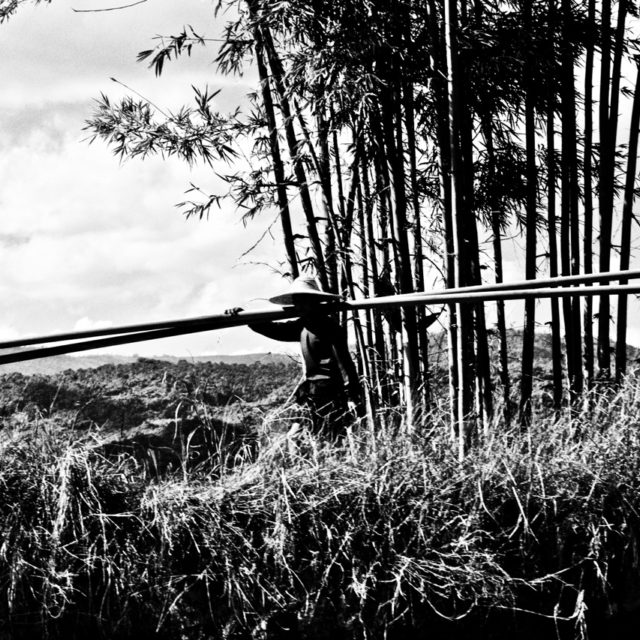 sur-les-bords-du-lac-inle05