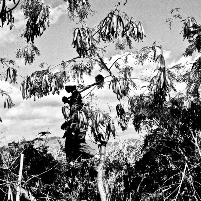 sur-les-bords-du-lac-inle07