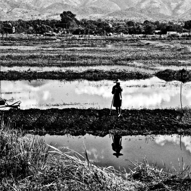 sur-les-bords-du-lac-inle10